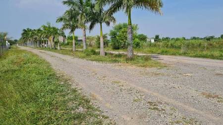 Buy Agricultural Land In Bhatagao Road Raipur 15 000 Sq Ft Bhatagao Highway Bridge
