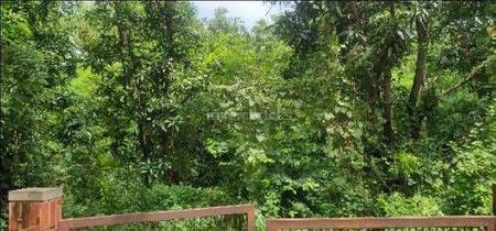 Land / Plot in Shela Ahmedabad