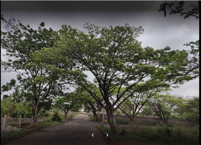 Central Park Phase II in Kondapur, Hyderabad Price, Brochure, Floor