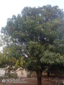 Land / Plot in Neral Thane