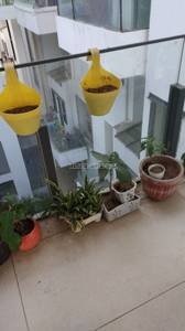 2BHK Multistorey Apartment for Resale in Ireo The Grand Arch at Sector 58 2BHK Multistorey Apartment for Resale in Ireo The Grand Arch at Sector 58