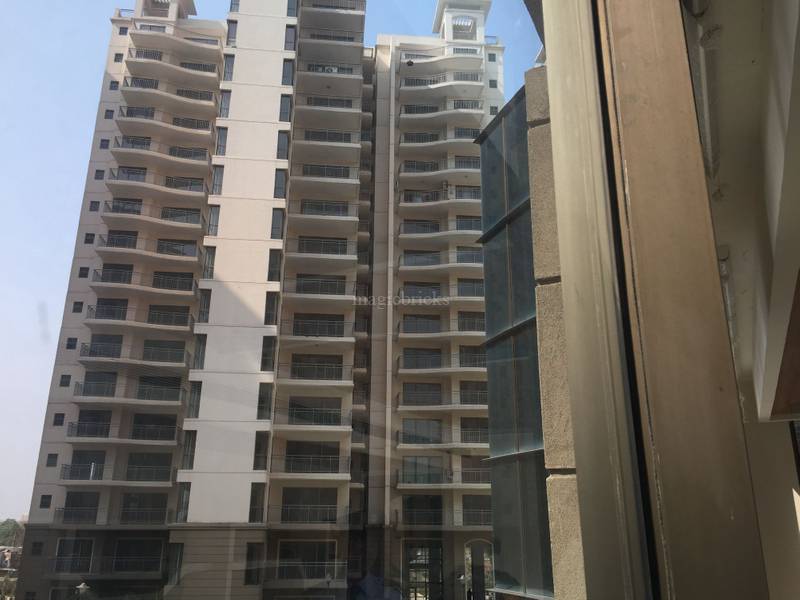 Godrej Frontier Gurgaon in Sector 80 , Gurgaon Price, Brochure, Floor