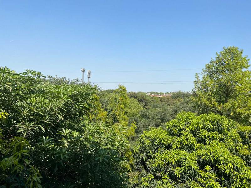 Sunrise Apartment in Sector 13 Rohini, New Delhi Price, Brochure