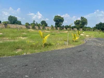 Land / Plot in Shela Ahmedabad