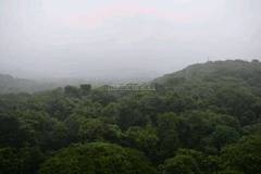 Property in Kulupwadi Mumbai 6 Property for Sale in Kulupwadi