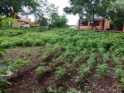 Land / Plot in Kalyan Thane