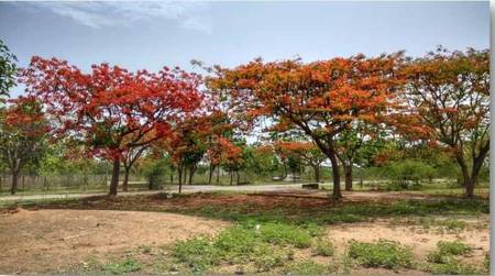 Land / Plot in Ravalkole Hyderabad