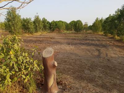 Land / Plot in Bavla Ahmedabad Land / Plot in Bavla Ahmedabad