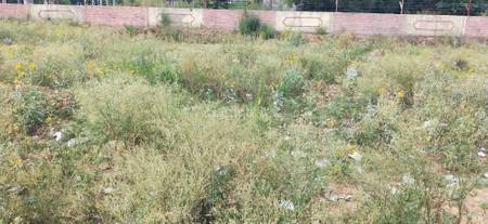 Land / Plot in Pataudi Gurgaon