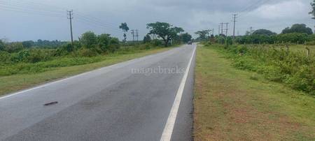 Kote Rorda Agricultural Land in HD Kote Road, Mysore: Farm / Agriculture Land Sale ...
