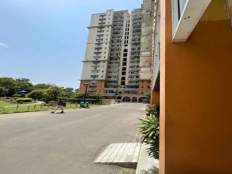 DLF Belvedere Tower in DLF City Phase 2, Gurgaon Price, Brochure