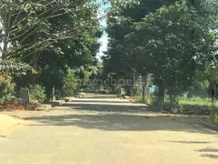 1050.0 sqft Residential Plot