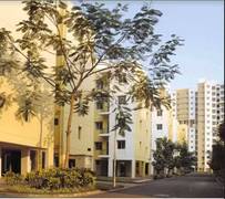 Sukhobrishti resale on sale
