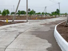 2250.0 sqft Residential Plot