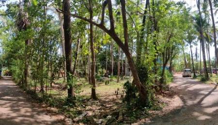 Land / Plot in Curchorem Goa