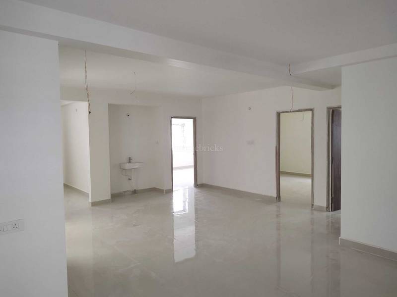 Pine Tree in Thimminaudupalem, Tirupati Price, Brochure, Floor Plan