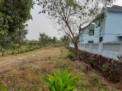  Residential Plot for Resale in Murbad