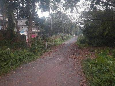 Land / Plot in Siolim Goa