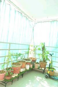 2BHK Multistorey Apartment for Resale in Naroda 2BHK Multistorey Apartment for Resale in Naroda