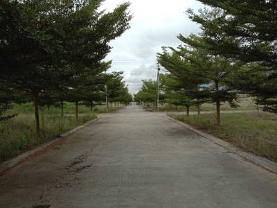 Land / Plot in Sarjapur Road Bangalore