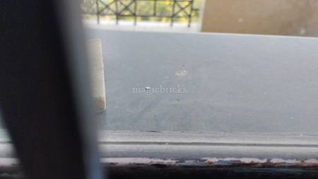 3BHK Multistorey Apartment for Resale in Gulmohar Apartment at Sector 56 3BHK Multistorey Apartment for Resale in Gulmohar Apartment at Sector 56