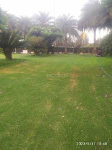 4BHK Multistorey Apartment for New Property in SS Linden Floors at Sihi, Sector 84 4BHK Multistorey Apartment for New Property in SS Linden Floors at Sihi, Sector 84