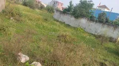 Plots for Sale in Dayalband, Bilaspur: 1+ Residential Land / Plots in  Dayalband