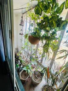 2BHK Multistorey Apartment for Resale in Bansi Villa at Chandkheda 2BHK Multistorey Apartment for Resale in Bansi Villa at Chandkheda