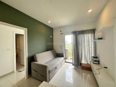 1 BHK Flat in  1 BHK Flat in