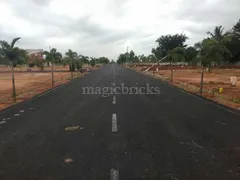 1200.0 sqft Residential Plot