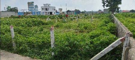 Land / Plot in Wagholi Pune