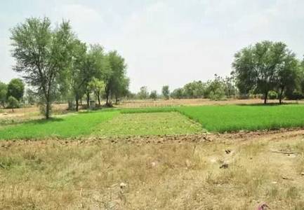 Land / Plot in Shela Ahmedabad