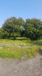 Residential Plot for Resale in Sterling green Woods at Vaishnodevi Circle  Residential Plot for Resale in Sterling green Woods at Vaishnodevi Circle