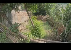 900.0 sqft Residential Plot