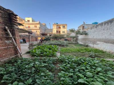 Land / Plot in Najafgarh New Delhi