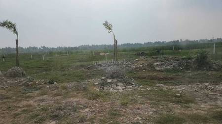Land / Plot in Rajarhat Kolkata