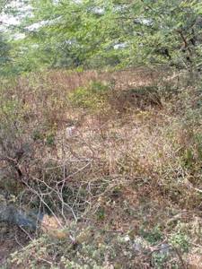 Land / Plot in Medchal Hyderabad Land / Plot in Medchal Hyderabad
