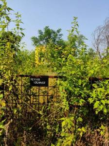 Land / Plot in Shahapur Beyond Thane