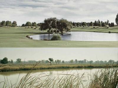 Land / Plot in Sanand Ahmedabad Land / Plot in Sanand Ahmedabad