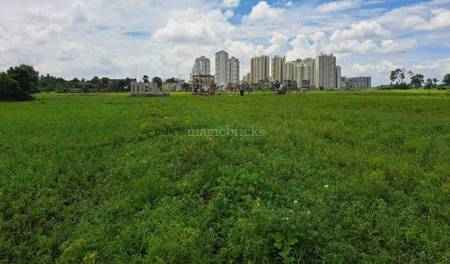 Land / Plot in New Town Kolkata