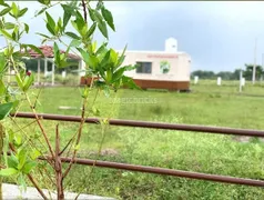 1350.0 sqft Residential Plot