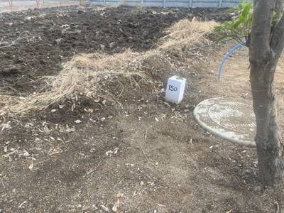 Land / Plot in Mokila Hyderabad Land / Plot in Mokila Hyderabad