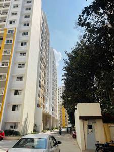1BHK Multistorey Apartment for Resale in Sattva Misty Charm at Mallasandra 1BHK Multistorey Apartment for Resale in Sattva Misty Charm at Mallasandra