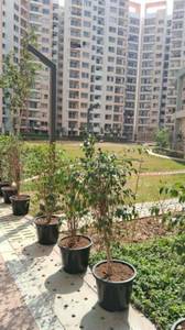 2BHK Multistorey Apartment for Resale in Shapoorji Pallonji Joyville at Sector 102 2BHK Multistorey Apartment for Resale in Shapoorji Pallonji Joyville at Sector 102