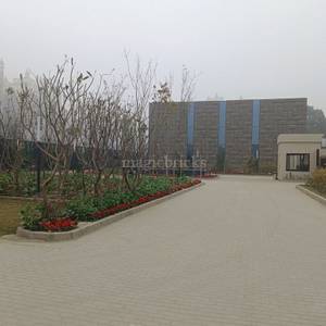 3BHK Multistorey Apartment for New Property in Godrej Aristocrat at Sector 49 3BHK Multistorey Apartment for New Property in Godrej Aristocrat at Sector 49