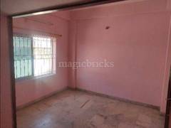 Flats for top rent in tolichowki