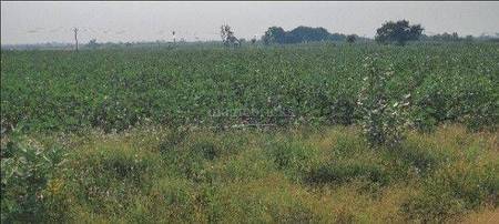 Land / Plot in Sanand Ahmedabad