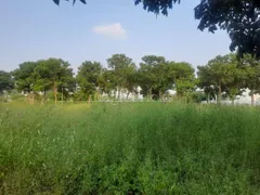 3600.0 sqft Residential Plot