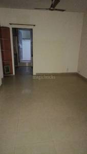 3BHK Villa for Resale in Block D Sector 50 3BHK Villa for Resale in Block D Sector 50