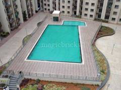 Flats for Rent in HSR Layout Bangalore 540 Flats Apartments
